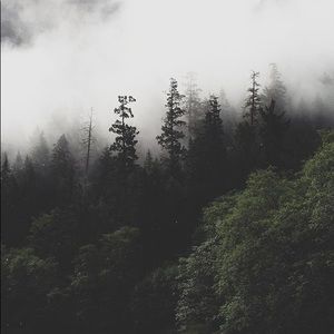 Meet your Posher, Jake